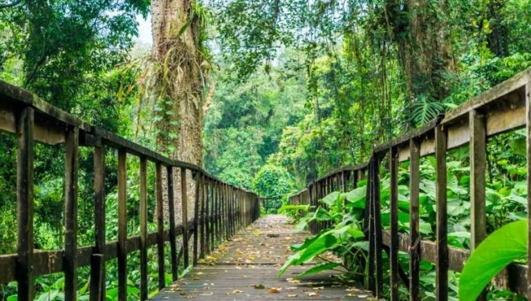 Sitios Arqueol Gicos En Honduras Que Sin Duda Te Encantar N