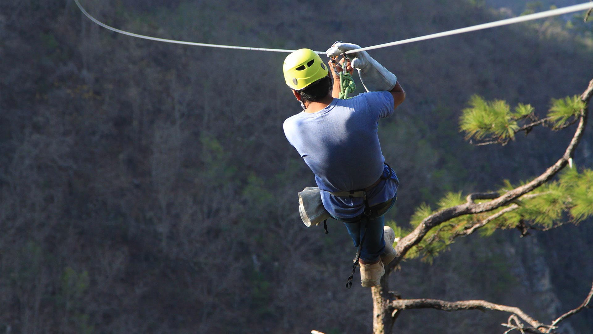 Canopy extremo El Chiflador, una actividad para los amantes de la aventura