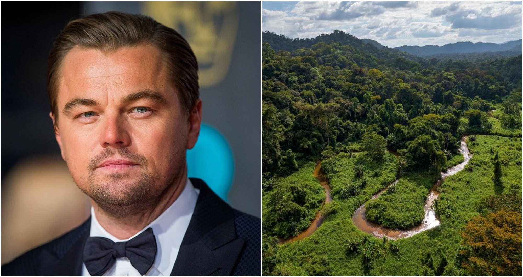 Leonardo DiCaprio aplaude el compromiso hondureño de rescatar La Mosquitia