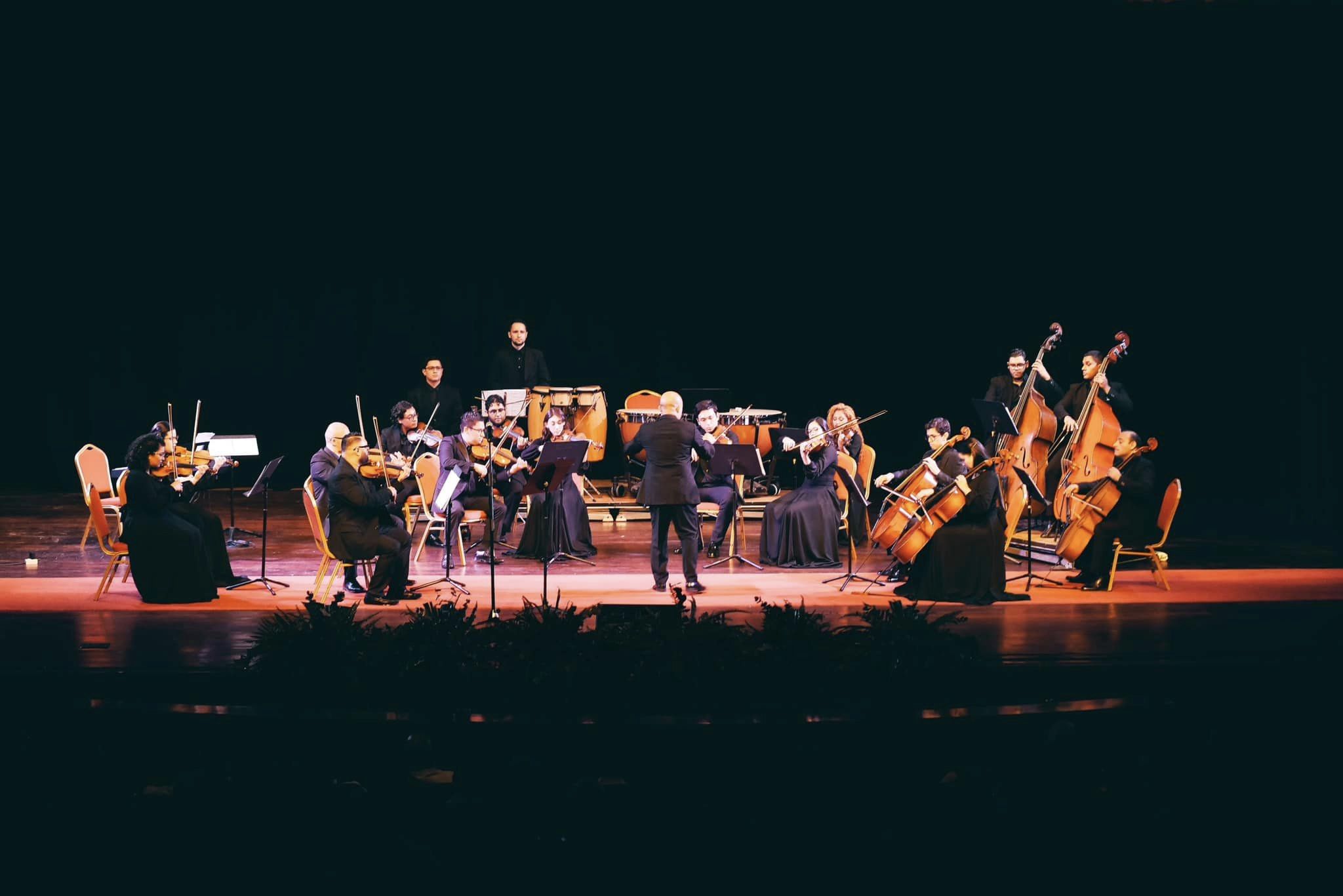 Orquesta Filarmónica de SPS abre audiciones para violines y viola