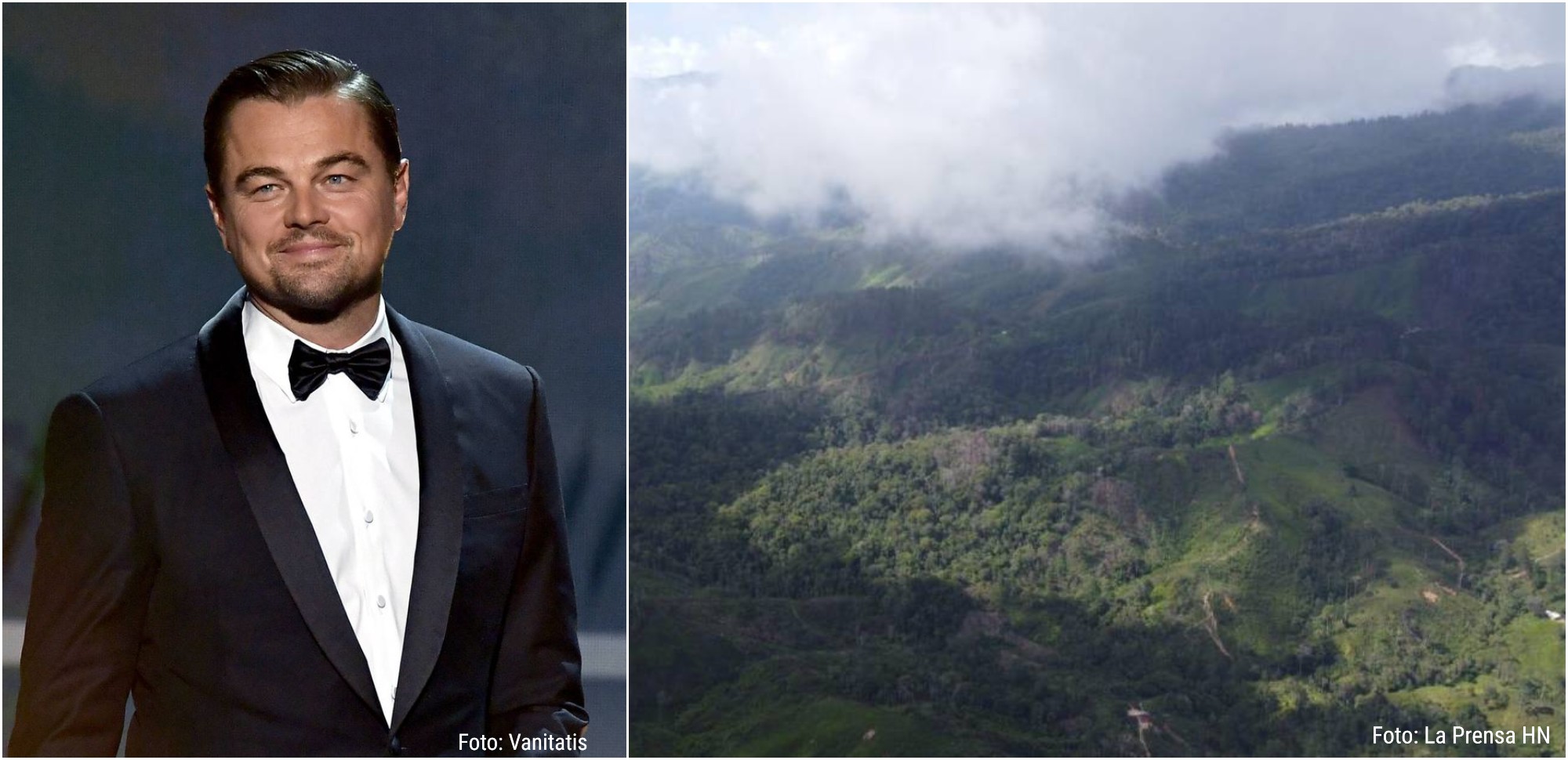 Fundación de Leonardo DiCaprio financiará área protegida en Yoro y Atlántida
