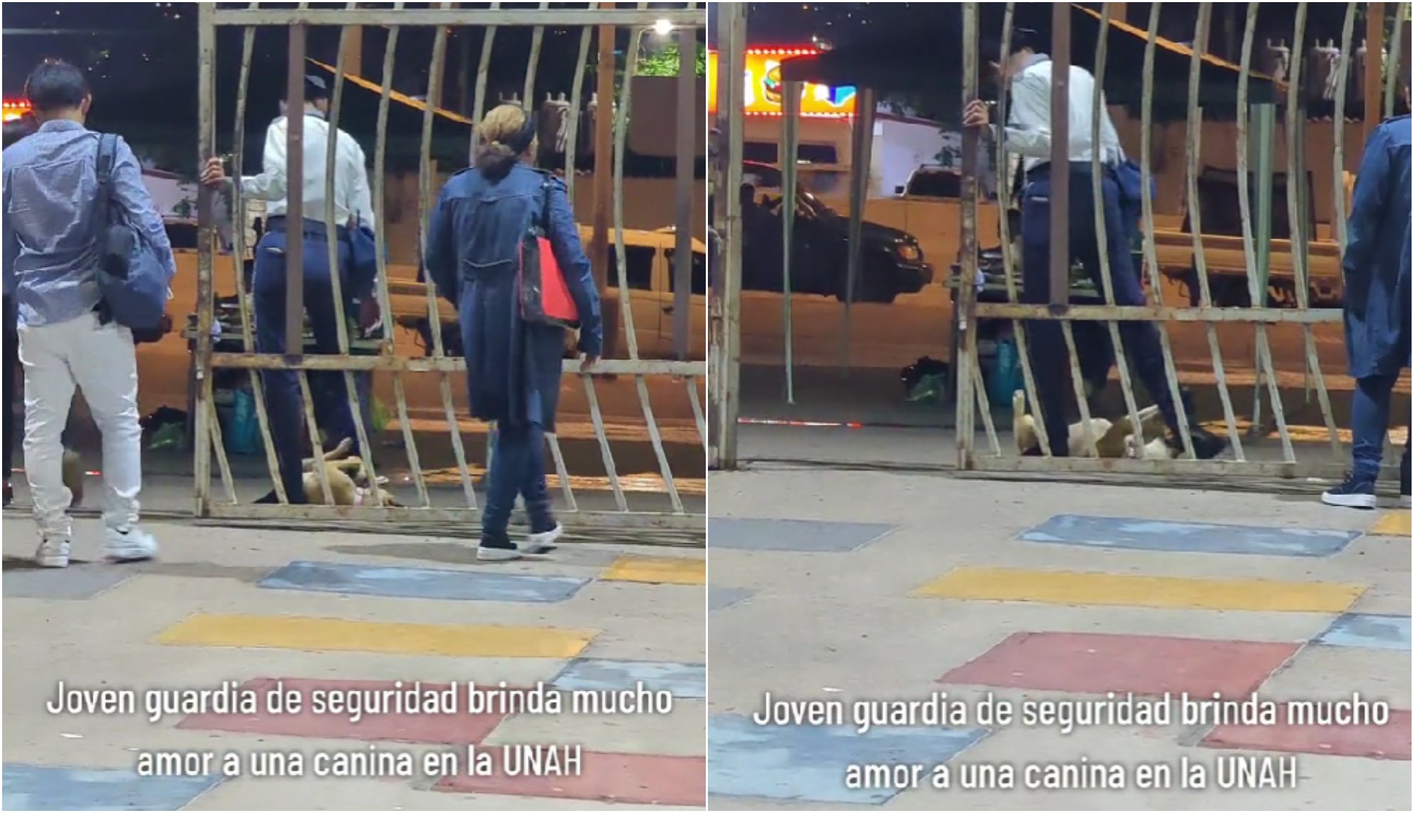 Guardia de la UNAH conmueve en redes sociales por mostrar afecto a perrita de la calle