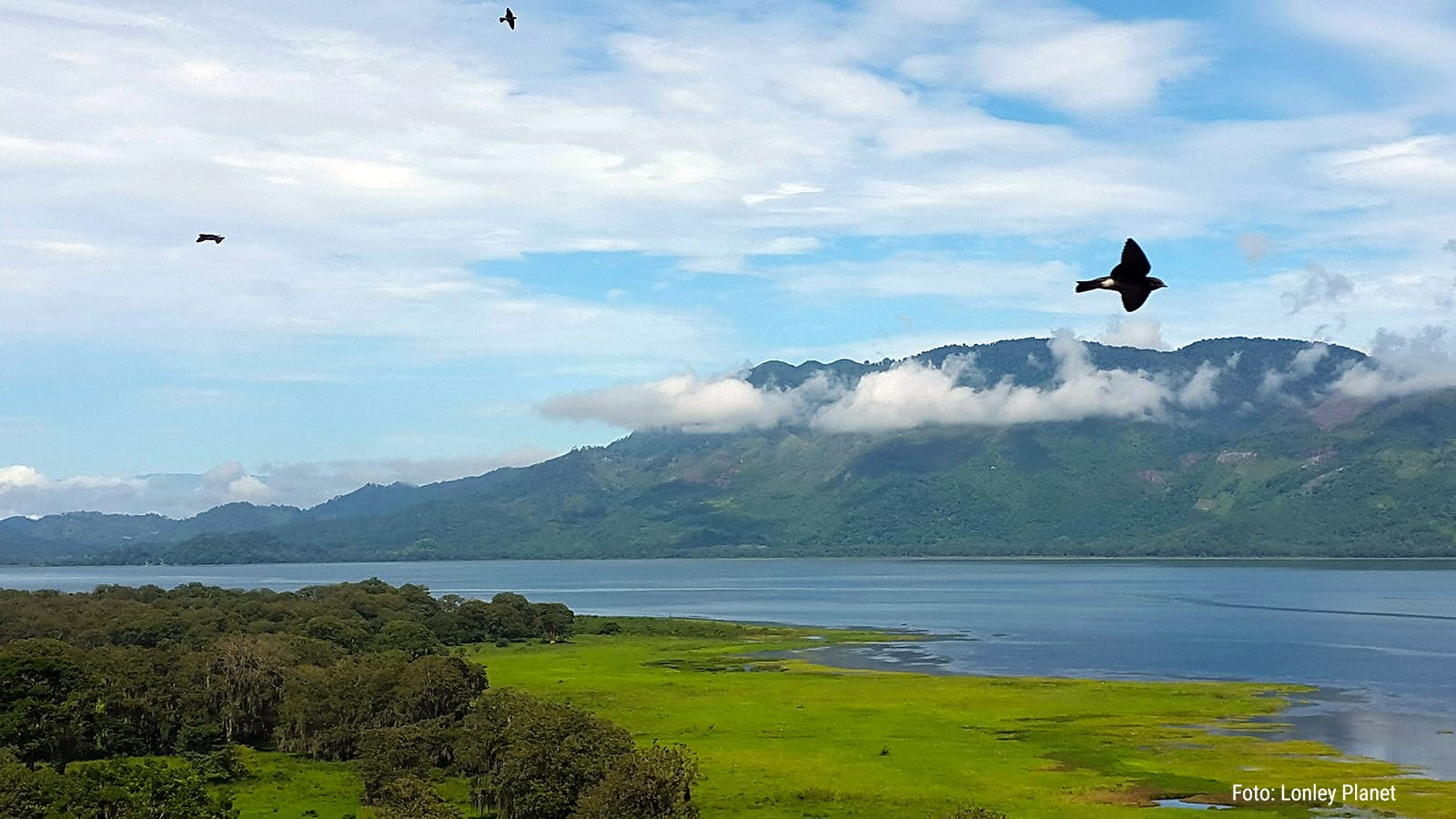 Honduras nominará al Lago de Yojoa para ser declarado biósfera por la Unesco