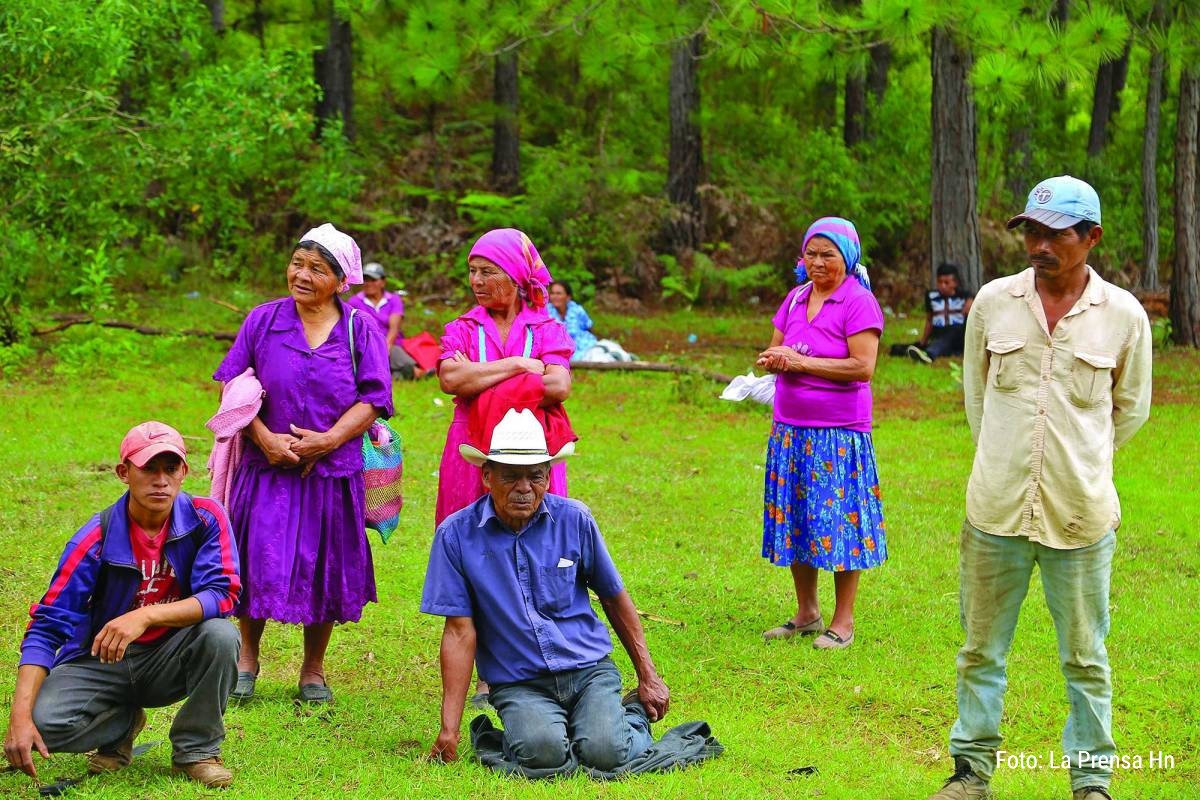 Capacitan a comunidad lenca para preservar el Corredor Guajiquiro-Jilguero