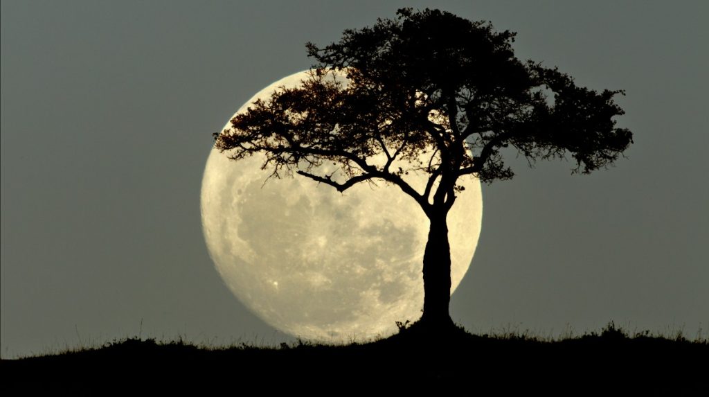 Hora y cómo ver la Luna de Castor este 15 de noviembre en Honduras