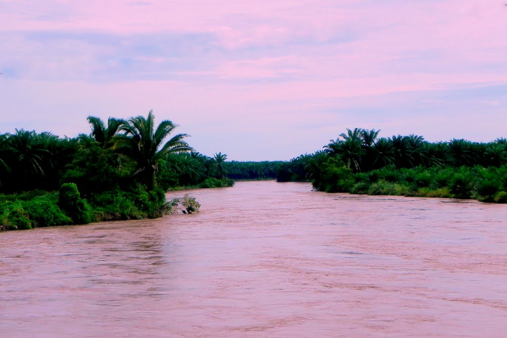 Río Aguán, el importante río para el ecosistema del norte de Honduras