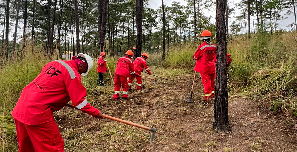 ICF crea iniciativa para cuidar los bosques y reducir incendios en Honduras