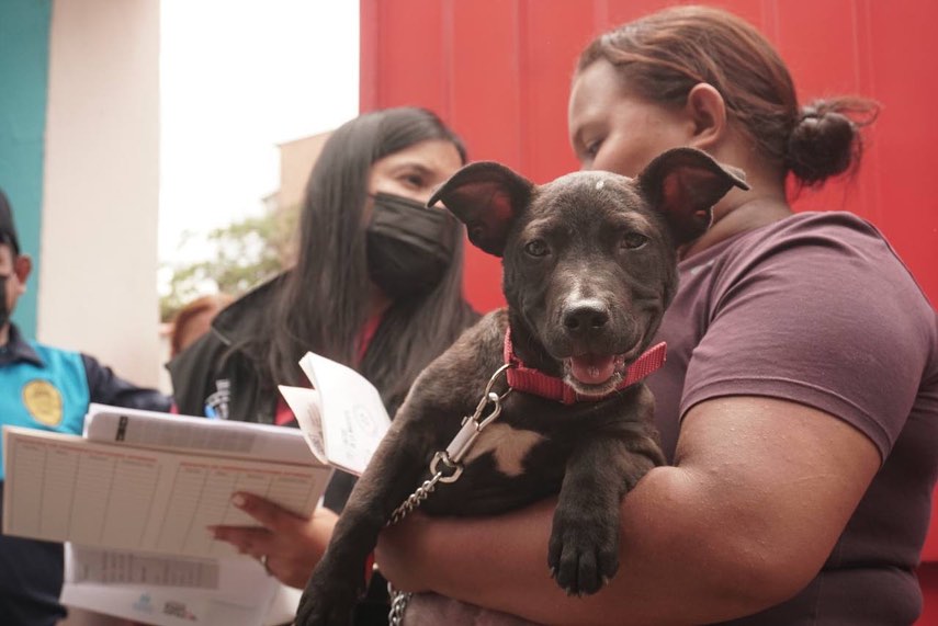 Amplían los horarios de atención en la Clínica Veterinaria Municipal